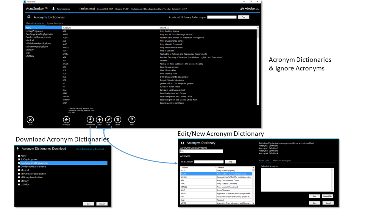 Screen image of the Dictionaries panel